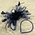 abordables facilitateurs de mariage-Casque Tulle Plumes Mariage Soirée Elégant Mariage Avec Couleur Pure Casque Couvre-chef