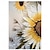 preiswerte Blumen-/Botanische Gemälde-Sonnenblumen Ölgemälde handgemachtes florales weißes und gelbes Kunstwerk Blumen Ölgemälde handgemalt Blumenkunst Gemälde auf Leinwand personalisiertes Kunstgeschenk Ölgemälde für Wohndekoration
