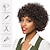cheap Black &amp; African Wigs-Synthetic Wig Wavy Curly Weave Short Bob Asymmetrical Machine Made Wig 30 inch A1 Synthetic Hair Women's Classic Comfortable Color Gradient Brown