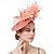 billige Fascinatorer-Hodeplagg Tyll Fedora Hatt Bryllup Hesteveddeløp Elegant Vintage Søt Med Fjær Hodepryd Hodeplagg