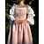 abordables Vestido-Retro Antiguo Medieval Renacimiento Vestidos Vestido de fiesta de graduación Princesa élfico Disfraz Mujer Celta Fantasía Real Víspera de Todos los Santos Carnaval Rendimiento Fiesta LARP Adulto
