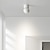 economico Lampade da soffitto con dimmer-6.5 cm Oscurabile Plafoniere Metallo Artistico Classico Alla moda Finiture verniciate Moderno 110-240 V