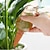 cheap Watering &amp; Irrigation-Automatic Watering Machine For Small Birds Multi Functional Lazy Plants Potted Plants Watering Dripping Device For Home Gardening Irrigation Water Penetrating Device