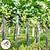 cheap Animal Support &amp; Care-2-Pack With Double-sided Reflective Ribbon Suitable for Orchards and Vegetable Gardens Bird-proof Ribbon Outdoor Safe and Easy-to-use Bird-proof Solution