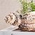 cheap Vases &amp; Basket-Seashell Shaped Resin Vase, 9.8-Inch Bohemian Tabletop Flower Vase, Indoor Decorative Hydroponic Planter for Home Decor and Gifts