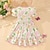 abordables Robes Décontracté-Enfants Fille Robe Fleur Manche Courte Extérieur Occasionnel Mode Quotidien Polyester Mi-long Robe Décontractée Robe trapèze Été 4 ans et + Vert