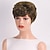voordelige Synthetische trendy pruiken-Synthetische pruiken Golvend Krullend weefsel Middelste stuk Asymmetrisch kapsel Machinegemaakt Pruik 25.4 cm A1 Synthetisch haar Dames Klassiek Comfortabel Kleurgradatie Meerkleurig