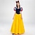 levne Dámské Kostýmy-Sněhově bílá Princeznovské Víla Šaty Cosplay kostým Přehoz Obleč se Filmové kostýmy for Dámské Dospělé předvečer Všech svatých Karneval Světový den knihy Výkon Párty