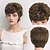 voordelige Synthetische trendy pruiken-Synthetische pruiken Golvend Krullend weefsel Middelste stuk Asymmetrisch kapsel Machinegemaakt Pruik 25.4 cm A1 Synthetisch haar Dames Klassiek Comfortabel Kleurgradatie Meerkleurig