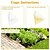 cheap Animal Support &amp; Care-20 Pieces of Disposable Outdoor Garden Snail and Slug Traps - help You Solve The Snail and Slug Problem - PE Material No Electricity Required