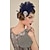 ieftine Accesorii și altele-Gatsby Bandană Adolescentă Gatsby Pană Retro Luciu Sclipitor Costume de fancy Pentru femei Carnaval ziua îndragostiților Mascaradă Îmbrăcăminte de seară de petrecere Mascaradă Festival Adulți
