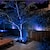 abordables Appliques d&#039;extérieur-Spots solaires d&#039;extérieur étanches et réglables à LED, éclairage de paysage, allumage et extinction automatiques, lampes solaires étanches pour arbres, jardin, étang, cour, allée, patio (4 pièces, 2