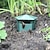 economico Supporto e Cura degli Animali-trappola per lumache - trappola in plastica riutilizzabile e durevole per lumache e parassiti del giardino, perfetta per giardini e fattorie