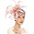 billige Coiffer-kvinner fascinator blomst fjær hatt teselskap for derby cocktail bryllup kentucky fascinators hatt en himmelblå