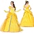 preiswerte Damenkostüme-Schlafende Schönheit Die Schöne und das Biest Prinzessin Belle Blumenmädchenkleid Tüllkleider Cosplay Kostümparty Film Cosplay for Damen Erwachsene Karneval Junggesellinnenabschiedsparty