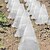 billige plantepleietilbehør-10/20/30 stk klar hage cloche for planter, plante dekker beskyttere, gjenbrukbart klokke plante dekke, multifunksjonelle plante dekker plante, beskytte planter mot fugler, dyr, frost, frostvær