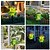 voordelige Landschapsverlichting-1 st. buitenzonne kikkervormige plug-in lamp voor binnenplaats, tuinpad, gazon, landschapsverlichting, sfeerverlichting