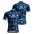abordables Maillots pour hommes-Homme Maillot de cyclisme Graphique Manche Courte Cyclisme T-shirt Maillot avec 3 poches arrière VTT Vélo tout terrain Séchage Rapide Design Anatomique Évacuation de l'Humidité Respirant Des sports