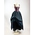 baratos Vestir-Medieval Renascentista Vestidos Vestidos de baile Vestido Ternos de Empregadas Viking Fantasia Mulheres Real Dia Das Bruxas Carnaval Baile de Máscaras Espetáculo LARP Ren Faire Adulto Vestido