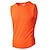 preiswerte Fitness Tank-Tops-Herren Tank Top Weste Unterhemd Ärmelloses Shirt Ärmellos Rundhals Rundhalsausschnitt Sommer Einfach Mode Klassisch Lässig Sportlich Netz Lässig Fitnessstudio Straße Orange Top T-Shirt für Herren