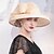 billige Partyhatter-Hatter Linfrø Bowlerhatter Solhatt Topplue Bryllup Te Fest Elegant Bryllup Med Sløyfe Hodeplagg Hodeplagg