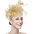 economico Fascinator-Cappello da donna con fascinator, stile anni &#039;20 e &#039;50, per feste di nozze, cocktail, fiori, rete, piume, fermaglio per capelli per carnevale