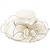 economico Cappelli da Festa-Cappello derby Kentucky 2025 per donna, fascinator in organza per Pasqua, festa del tè, sposa, chiesa, cappello da sole domenicale