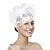economico Fascinator-Cappello da donna con fascinator, stile anni &#039;20 e &#039;50, per feste di nozze, cocktail, fiori, rete, piume, fermaglio per capelli per carnevale