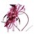preiswerte 1950er Jahre-Fascinator für Damen, Federn, Netzbänder, Kentucky-Derby-Hut, Tea-Party-Hüte mit Stirnband und Clip, Fascinator-Hut