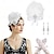 billige Tilbehør og mer-Den store Gatsby Flapperpannebånd i 1920-stil Den store Gatsby Fjær Kontor / Bedrift Glitrende glitter Kostyme Dame Karneval Valentinsdag Maskerade Festkveldsklær Maskerade Festival Voksne Hansker