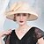 billige Partyhatter-Hatter Linfrø Bowlerhatter Solhatt Topplue Bryllup Te Fest Elegant Bryllup Med Sløyfe Hodeplagg Hodeplagg