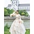 voordelige Jurken-Vintage Rococo Renaissance Maxi Jurken Normaal Julia Prinses Bruid Geplooid Volant Prinses Ronde hals Kostuum Dames Halloween Carnaval Maskerade Prestatie Feest Halloween Volwassenen Alle seizoenen