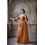 abordables Vestido-Medieval Renacimiento Vestidos Trajes de gala Vestido largo Vikingo caballero celta Disfraz Mujer Real Víspera de Todos los Santos Carnaval Mascarada Rendimiento LARP Feria Ren Adulto Vestido