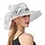 economico Cappelli da Festa-Cappello derby Kentucky 2025 per donna, fascinator in organza per Pasqua, festa del tè, sposa, chiesa, cappello da sole domenicale