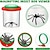 abordables Jouets d&#039;Exploration de la Nature-Lot de 12 terrariums à insectes en plastique avec couvercles grossissants - conteneurs à insectes en vrac pour l&#039;exploration de la nature, kits scientifiques éducatifs pour la salle de classe