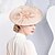 billige Hodebånd-pannebånd lin solhatt tallerken hatt topp hatt bryllup teselskap elegant bryllup med fjærbånd hodeplagg hodeplagg
