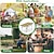 abordables Mobilier de camping-Table de camping pliante, table de plage portable, avec sac portable, adaptée à l&#039;intérieur, à l&#039;extérieur, au camping, à l&#039;arrière-cour, à la fête, au patio, à la table de camping à la plage