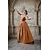 abordables Vestido-Medieval Renacimiento Vestidos Trajes de gala Vestido largo Vikingo caballero celta Disfraz Mujer Real Víspera de Todos los Santos Carnaval Mascarada Rendimiento LARP Feria Ren Adulto Vestido