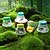 cheap Nature Exploration Toys-12 Pack Insect Observation Cup With Magnifying Glass Insect Collection Box Children&#039;s Science Experiment Kindergarten Teaching Aids Educational Toys