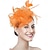 economico Fascinator-Cappello da donna con fascinator, stile anni &#039;20 e &#039;50, per feste di nozze, cocktail, fiori, rete, piume, fermaglio per capelli per carnevale