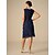preiswerte Kleidersets-Damen Teelänge Spitzenkleid Partykleid Cocktailkleid Kleid für Hochzeitsgäste Elegant Mode Party Formell Hochzeitsgast Cocktailparty Normale Passform Einfarbig Dreiviertelarm Rundhalsausschnitt