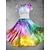 cheap Rainbow Everything-Rainbow Pride Dress Wrap Dresses Classic &amp; Timeless Women's Adults' Pride Parade Pride Month Festival Halloween Carnival Easy Carnival Costume