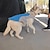 preiswerte Kühlweste &amp; Shirt-Kühlweste für Hunde, Hundegeschirr, Kühljacke mit tragbarer Wasserflasche für Spaziergänge mit dem Hund, Outdoor-Camping und Jagdtraining