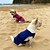cheap Cooling Vest &amp; Shirt-Dog Shirts Quick Dry Soft Stretchy Pet T-Shirts with Reflective Label Tank Top Sleeveless Vest Sun Protection Dog Clothes for Medium Large Dogs