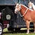 abordables Soins et soutien aux animaux-Mangeoire à foin en bois de cheval, sac à foin à alimentation lente, sac à foin pour cheval, sac à foin en filet pour cheval 600 d cheval chèvre lait vache alpaga mouton