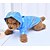 baratos capa de chuva-Capa de chuva impermeável para cachorro, poncho com capuz, capa de chuva para animais de estimação para cães pequenos