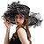 billige Festhatter-Elegant organza derbyhatt for kvinner med bred brem, solhatter til bryllup, teselskap, fascinatorhatt