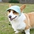 preiswerte Sonnenhut-Hunde-Baseballkappe, Hunde-/Katzen-Sommer-/Strand-Schirmmütze mit Ohrlöchern, verstellbare Welpen-Sonnenhaube, Kopfbedeckung