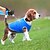 cheap Cooling Vest &amp; Shirt-Breathable Dog Cooling Vest with Velcro Harness for Medium Large Small Dogs - Cooling Jacket for Outdoor Hiking Training