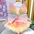 voordelige Hondkleding &amp; Accessoires-Regenboogvlinder hondenjurken voor kleine hondenmeisjes, puppy kant tutu prinsessenjurk kattenoutfit huisdier vlinderkostuum voor kitten chihuahua yorkie keeshond